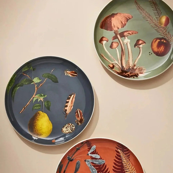 NWT Set of 8 Anthropologie Fungi Nature Studies Dessert Plates - Picture 5 of 5